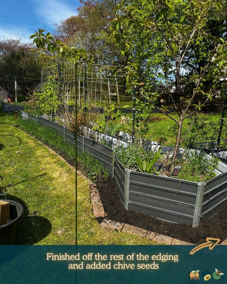 What to Plant in Scotland Each Month: Veg, Fruits, Herbs & Edible Flowers. Planting in May