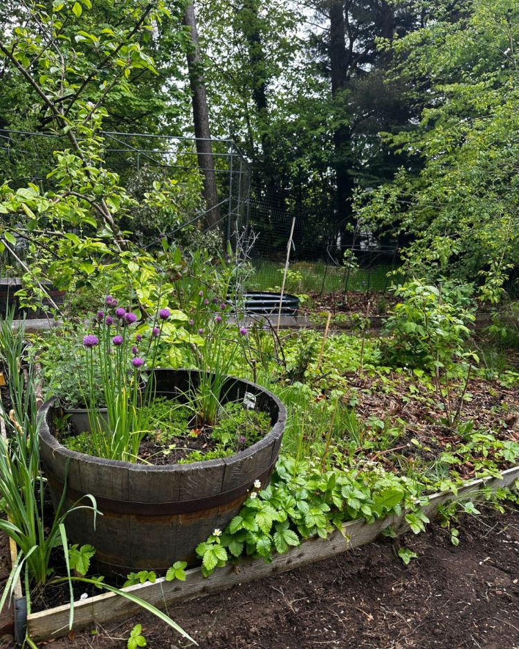 May: Month By Month In Our Scottish Gardens