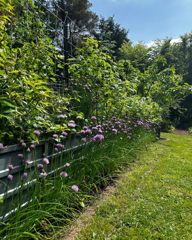 May: Month By Month In Our Scottish Gardens
