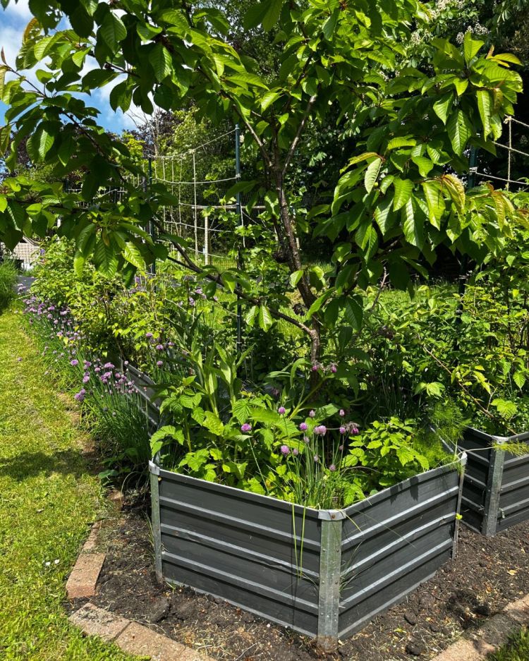 May: Month By Month In Our Scottish Gardens