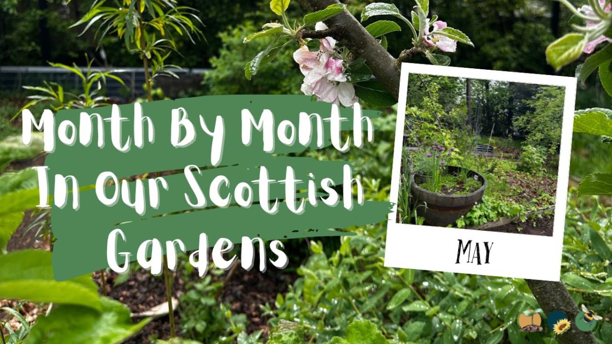 May: Month By Month In Our Scottish&nbsp;Gardens