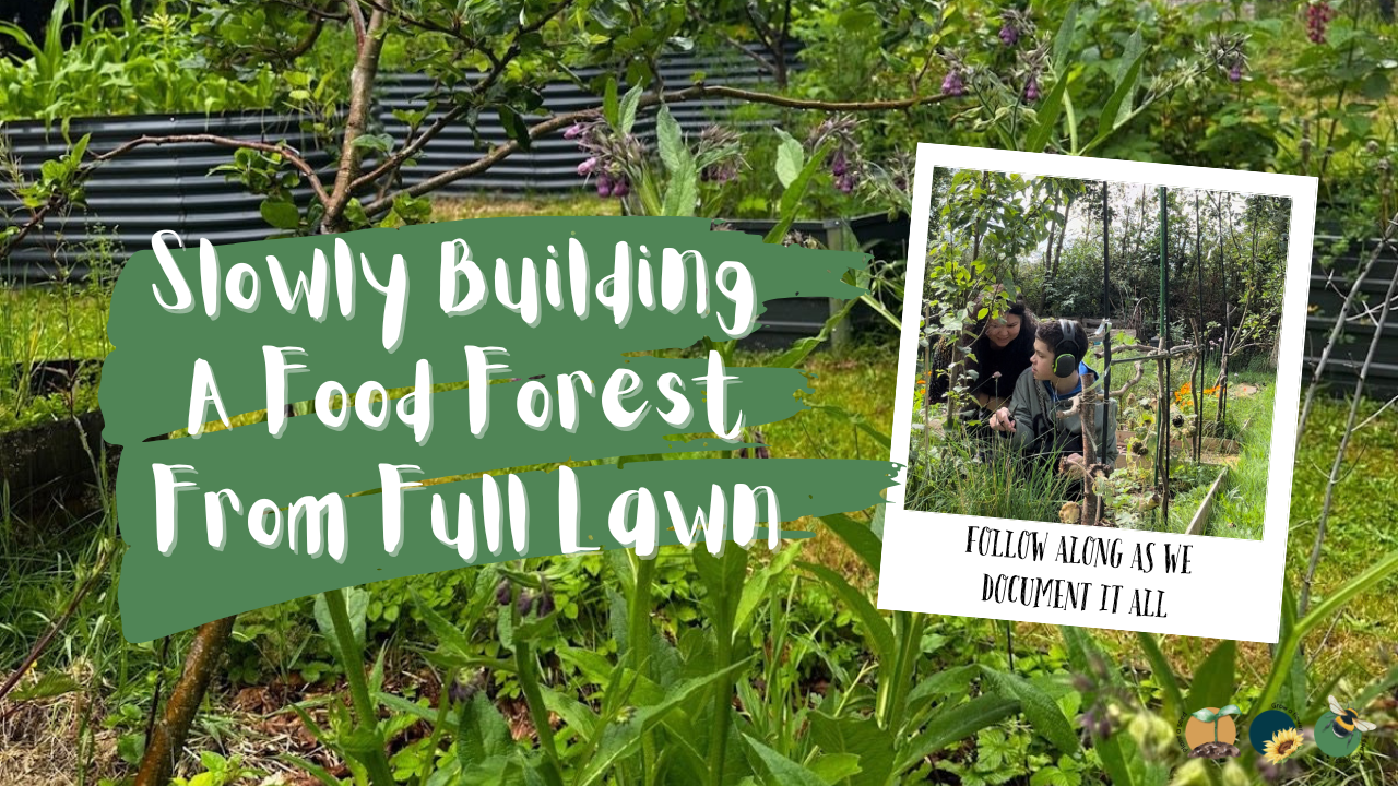 Building A Food Forest Scotland