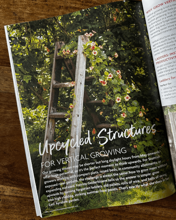 Columnists: Scotland Grows Magazine Summer Edition