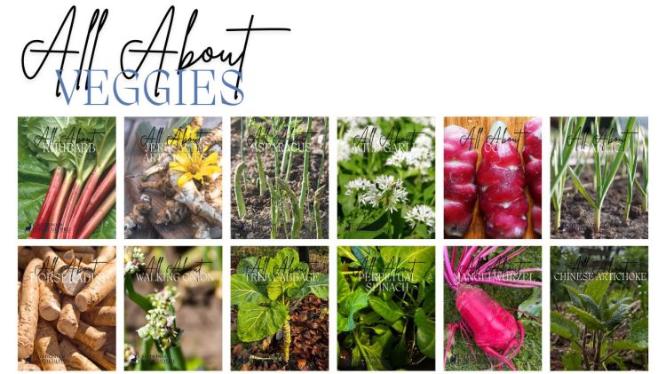 All About Series: Growing, Sowing, Caring For edible Veg