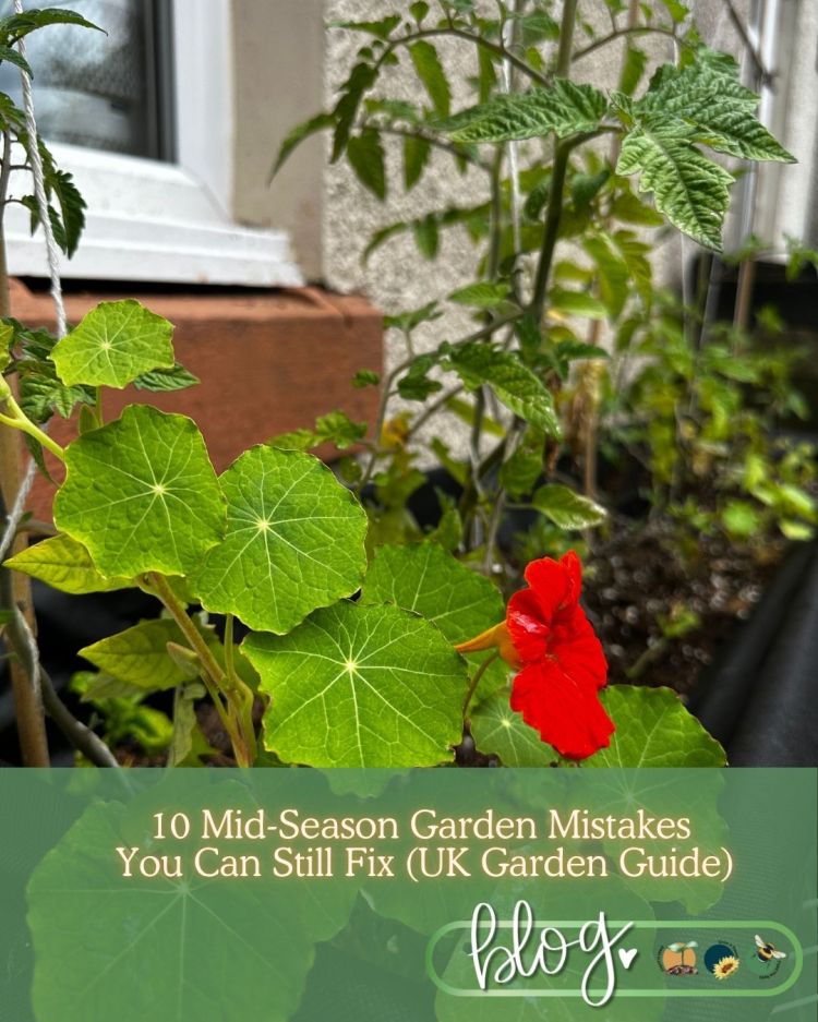 10 Mid Season Garden Mistakes You Can Still Fix (UK Garden Guide)
