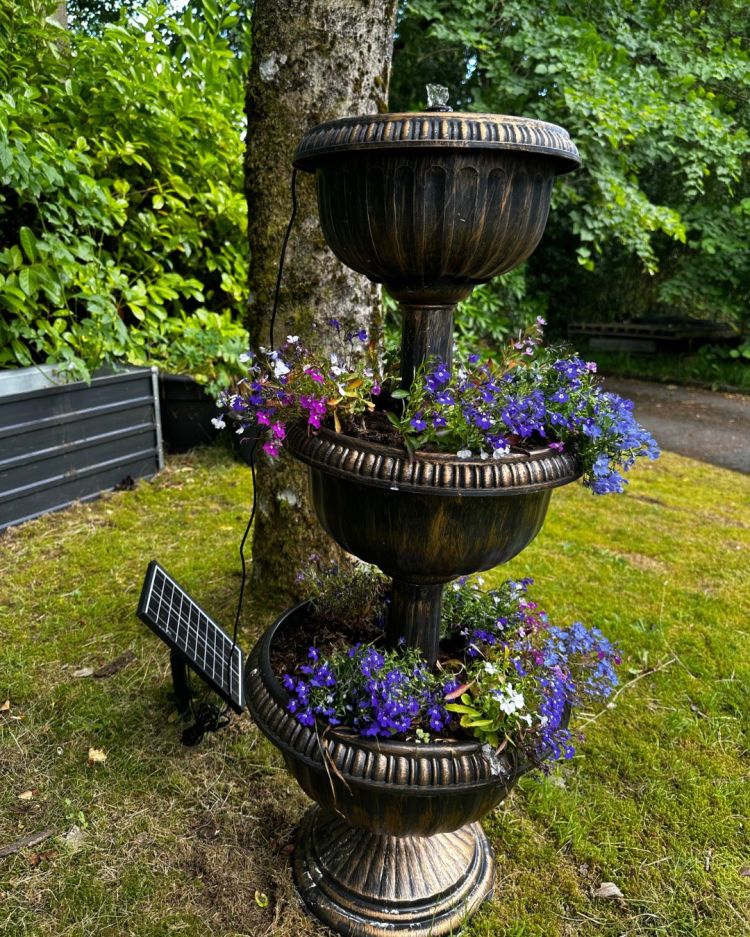 June: Month By Month In Our Scottish Gardens