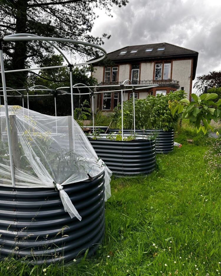June: Month By Month In Our Scottish Gardens