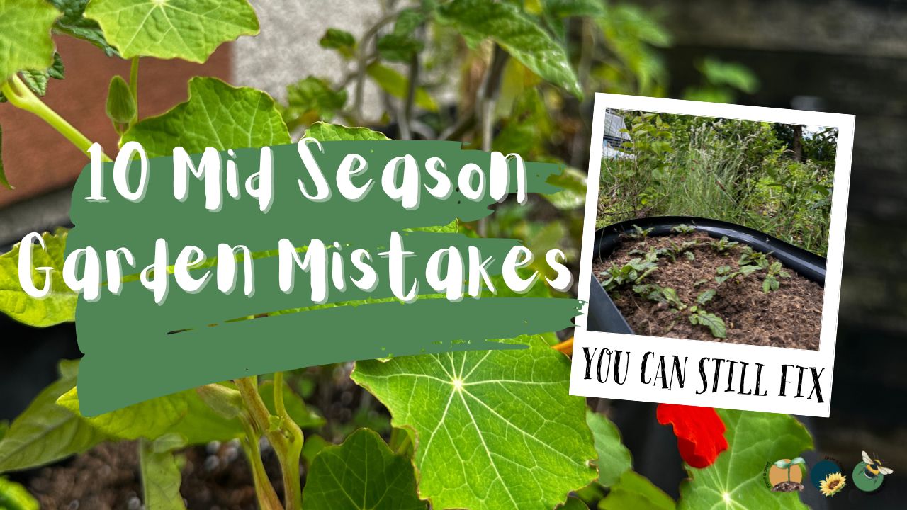10 Mid Season Garden Mistakes You Can Still Fix (UK Garden Guide)