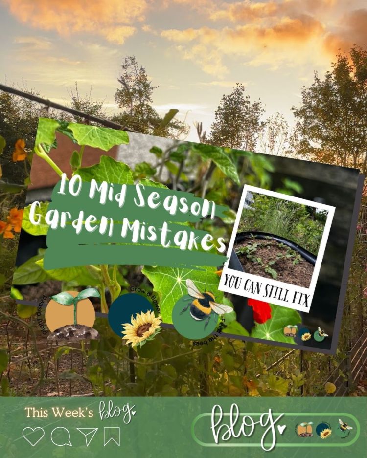 10 Mid Season Garden Mistakes You Can Still Fix (UK Garden Guide)