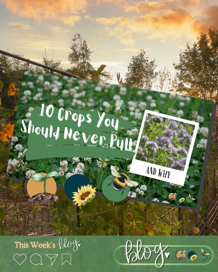 10 Crops You Should Never Pull Out Of The Ground