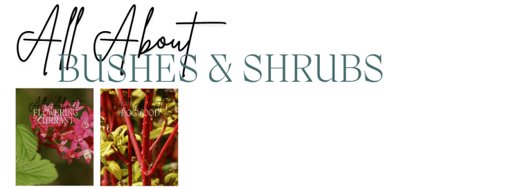 Guides to the Fruits, Herbs & Edible Flowers We Grow: Cultivation, Care & Harvesting