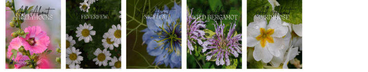 Guides to the Fruits, Herbs & Edible Flowers We Grow: Cultivation, Care & Harvesting