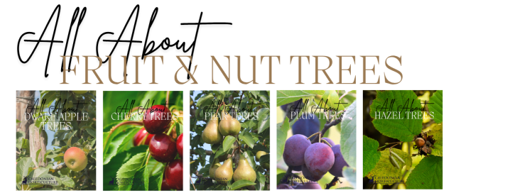 Guides to the Fruits, Herbs & Edible Flowers We Grow: Cultivation, Care & Harvesting